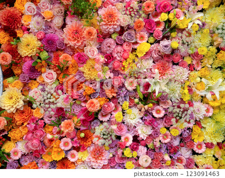 Arranged flower background Arranged flower background 123091463