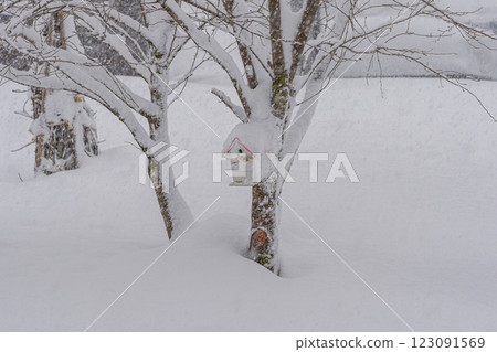 鳥巢箱被雪埋住了 鳥巢箱被雪埋住了 123091569