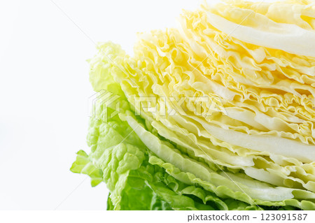 Close-up of a cross section of cut Chinese cabbage Close-up of a cross section of cut Chinese cabbage 123091587