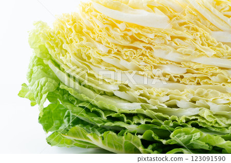 Close-up of a cross section of cut Chinese cabbage Close-up of a cross section of cut Chinese cabbage 123091590
