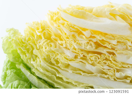大白菜切塊橫斷面特寫 123091591
