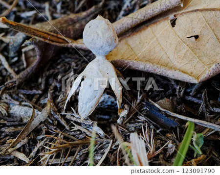 小矮人，蔚藍，蔚藍，蔚藍 123091790