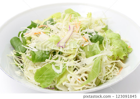 蔬菜沙拉	 123091845