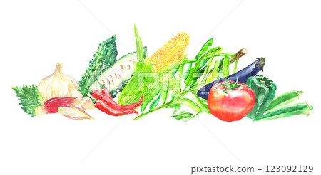 水彩插圖夏季蔬菜套裝 123092129