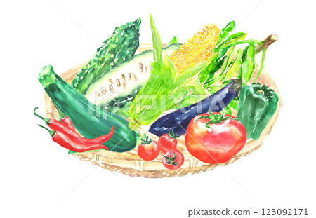 水彩插圖夏季蔬菜套裝 123092171