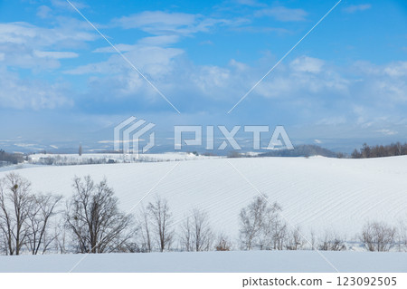 Winter scenery of Biei, Hokkaido 123092505