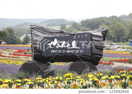 萬壽菊盛開的山丘 萬壽菊盛開的山丘 123092608