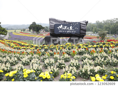 Landscape with tulips Landscape with tulips 123092609