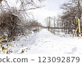 Snowy road 123092879