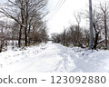 Snowy road 123092880