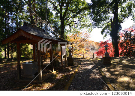 Kannonyama Plum Village 2024-12-1 #62 Kannonyama Plum Village 2024-12-1 #62 123093014