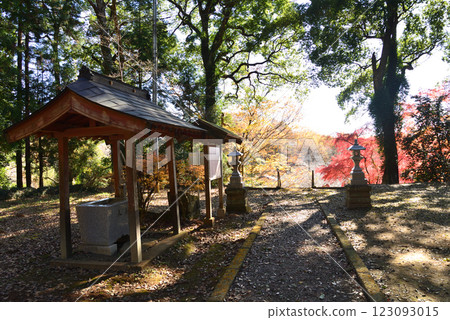 Kannonyama Plum Village 2024-12-1 #63 Kannonyama Plum Village 2024-12-1 #63 123093015