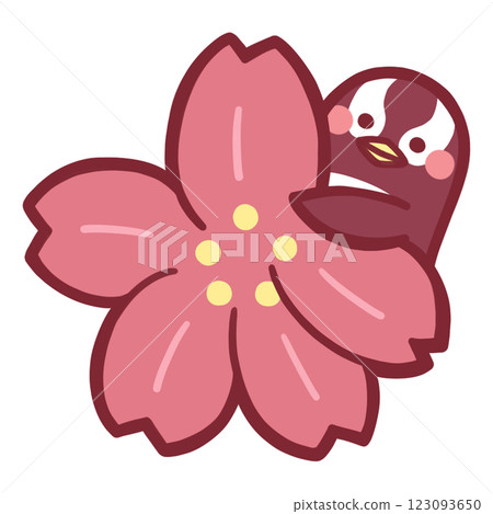 一隻企鵝從櫻花後探出頭來的彩色插圖 123093650