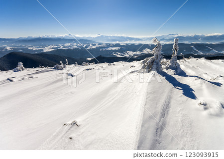 Snow covered bent little pine tree in winter mountains. Arctic landscape. Colorful outdoor scene, Artistic style post processed photo. 123093915