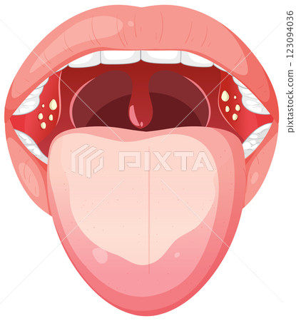 Human Mouth Anatomy Illustration Human Mouth Anatomy Illustration 123094036