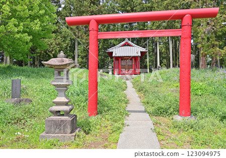 Walking around Itahana-shuku on the Nakasendo: Hachiman Hachimangu Shrine, Jinin Inari Shrine, Hachimancho, Takasaki City 123094975