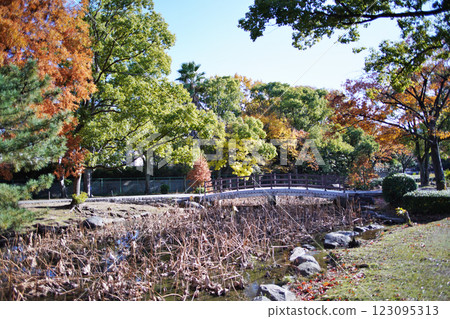 大阪市淀川河畔公園的秋季自然風光 大阪市淀川河畔公園的秋季自然風光 123095313