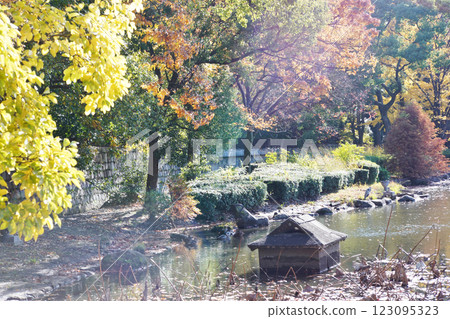 Autumn scenery brimming with nature at Yodogawa River Park in Osaka City 123095323