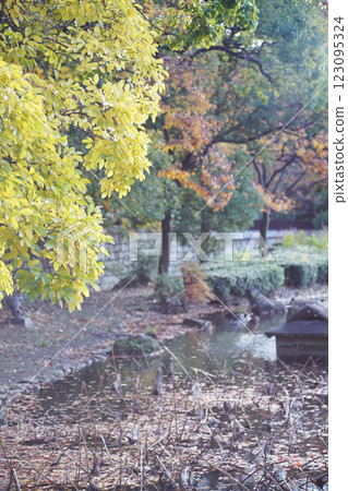 Autumn scenery brimming with nature at Yodogawa River Park in Osaka City 123095324
