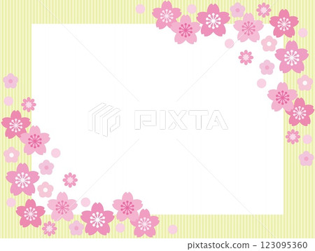 Cherry blossom frame stripe white space Cherry blossom frame stripe white space 123095360