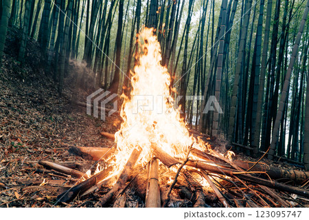 竹林裡燃燒著熊熊大火 竹林裡燃燒著熊熊大火 123095747