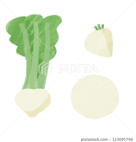 手繪彩色插圖集各種切蘿蔔的方法 手繪彩色插圖集各種切蘿蔔的方法 123095798