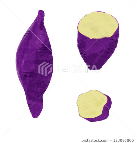 各種切紅薯方法的彩色插圖集 123095800