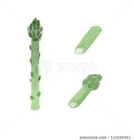 手繪彩色插圖集各種切蘆筍的方法 123095801