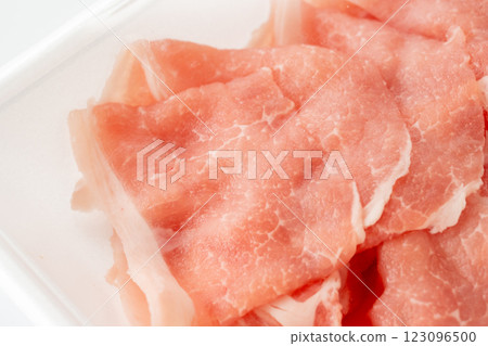 生豬肉 123096500