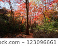 Kamakura: Shishimai Valley with autumn leaves 123096661