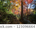 Kamakura: Shishimai Valley in autumn with red leaves 123096664