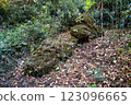 Kamakura Lion Rock 123096665