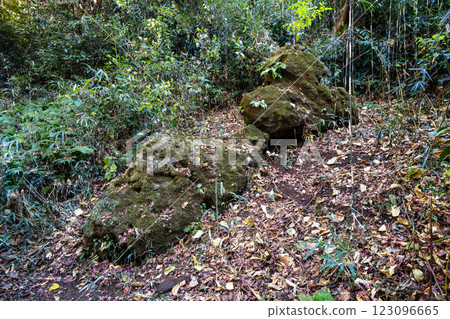 鎌倉獅子岩 123096665