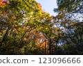 Kamakura: Shishimai Valley in autumn with red leaves 123096666