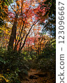 Kamakura: Shishimai Valley with autumn leaves 123096667