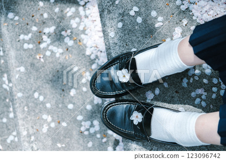 Cherry blossom petals on shoes 123096742
