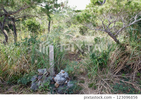 沖繩縣伊是名島風之岩登山口 沖繩縣伊是名島風之岩登山口 123096856