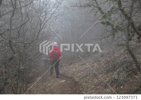 Tourists climbing the mountain hiking through the forest with fog Tourists climbing the mountain hiking through the forest with fog 123097371