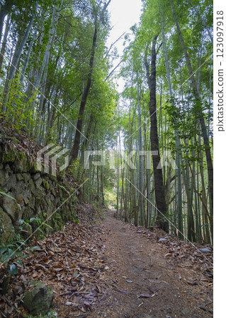 岐阜縣中津川市的冬季苗木城 123097918