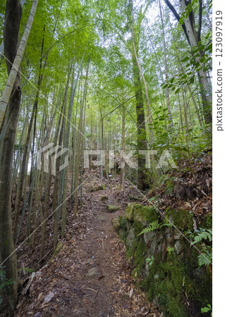 岐阜縣中津川市的冬季苗木城 岐阜縣中津川市的冬季苗木城 123097919