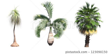 deciduous tree, isolate on a transparent background, 3d illustration 123098150