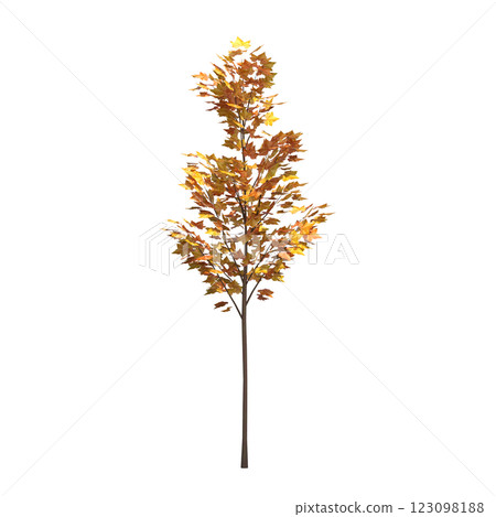 autumn tree, isolate on a transparent background, 3d illustration 123098188