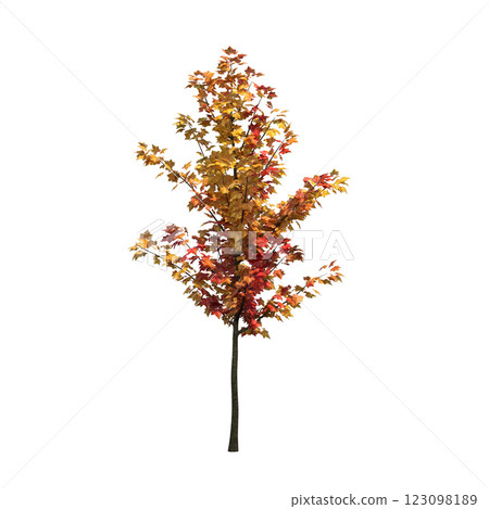 autumn tree, isolate on a transparent background, 3d illustration autumn tree, isolate on a transparent background, 3d illustration 123098189