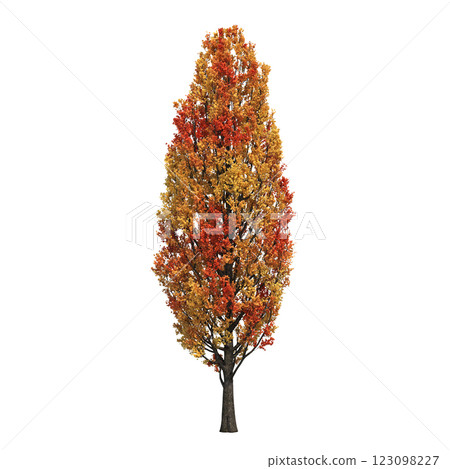 autumn tree, isolate on a transparent background, 3d illustration autumn tree, isolate on a transparent background, 3d illustration 123098227