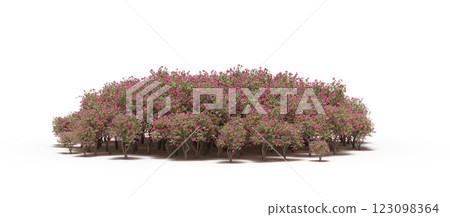 group of trees with a shadow under it, isolated on a transparent background, 3D illustration, cg render 123098364