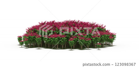 group of trees with a shadow under it, isolated on a transparent background, 3D illustration, cg render group of trees with a shadow under it, isolated on a transparent background, 3D illustration, cg render 123098367