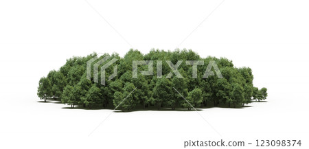 group of trees with a shadow under it, isolated on a transparent background, 3D illustration, cg render 123098374