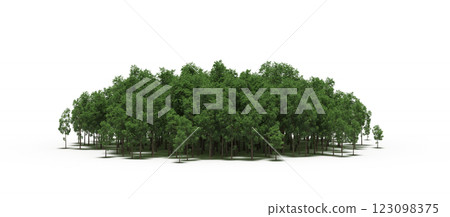 group of trees with a shadow under it, isolated on a transparent background, 3D illustration, cg render group of trees with a shadow under it, isolated on a transparent background, 3D illustration, cg render 123098375