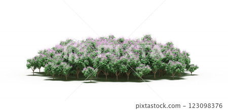 group of trees with a shadow under it, isolated on a transparent background, 3D illustration, cg render 123098376