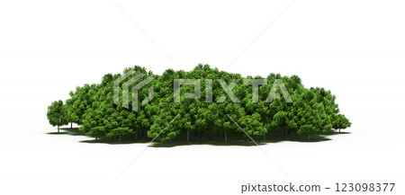 group of trees with a shadow under it, isolated on a transparent background, 3D illustration, cg render 123098377